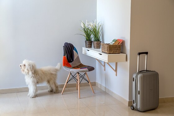 Online Booking EPS - photo 0
