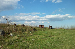 Casa de Fora, Turismo Rural