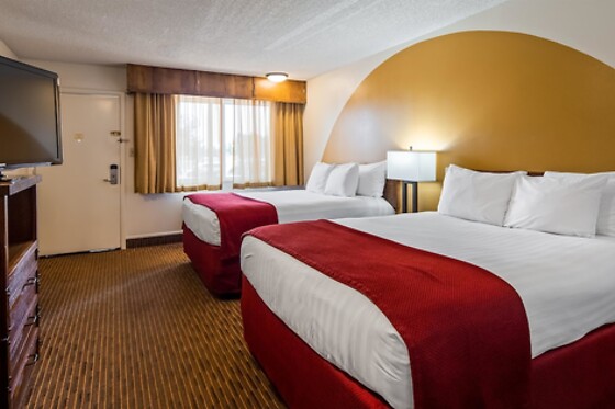 Online Booking EPS - photo 5