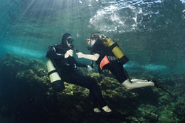 Subdive