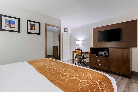 Online Booking EPS - photo 5