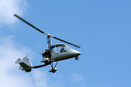 Les Volatiles