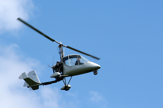 Les Volatiles - photo 10