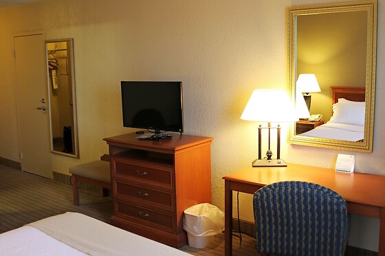Online Booking EPS - photo 3
