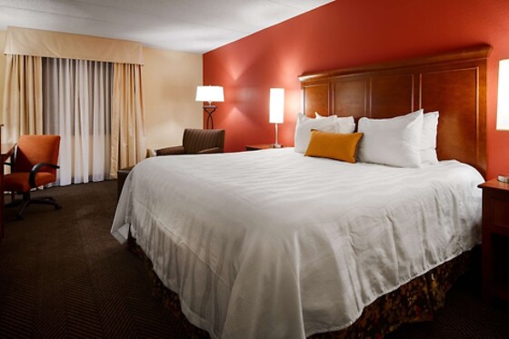 Online Booking EPS - photo 0