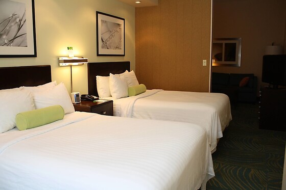 Online Booking EPS - photo 6