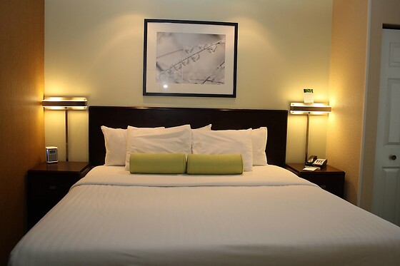 Online Booking EPS - photo 3
