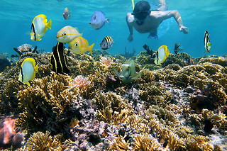 Snorkeling per 2 persone al Centro Sub Pozzuoli, in provincia di Napoli
