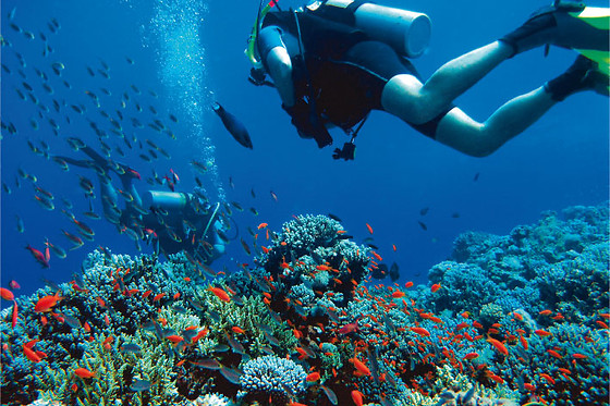 + MAR BUCEO - photo 5