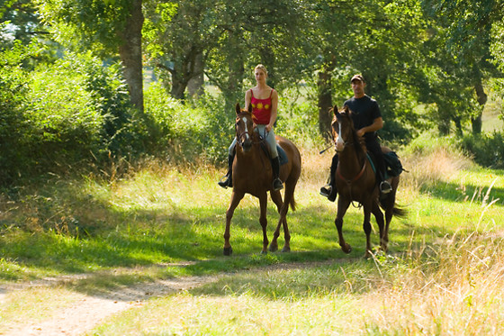 DOÑANA A CABALLO - photo 2