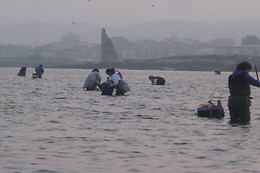 ASOC. CULT. MULLERES DO MAR DE CAMBADOS GUIMATUR (GUIMATUR)