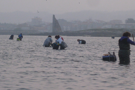 ASOC. CULT. MULLERES DO MAR DE CAMBADOS GUIMATUR (GUIMATUR) - photo 3