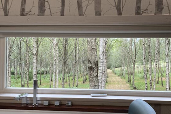 CABANAS DA ULLA - photo 13