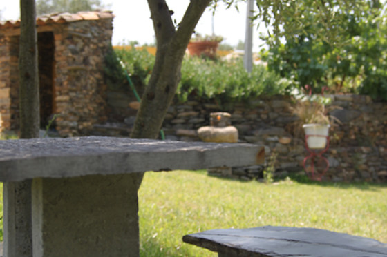 Aldeia Oliveiras - photo 14