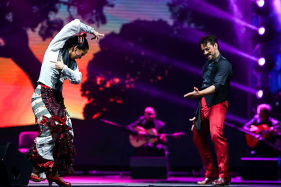 TEATRO FLAMENCO MADRID - photo 2