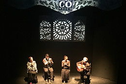 TEATRO FLAMENCO MADRID