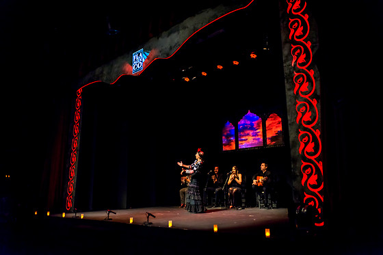 TEATRO FLAMENCO MADRID - photo 4