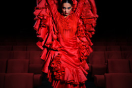TEATRO FLAMENCO MADRID