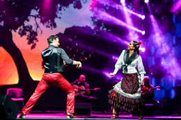 TEATRO FLAMENCO MADRID