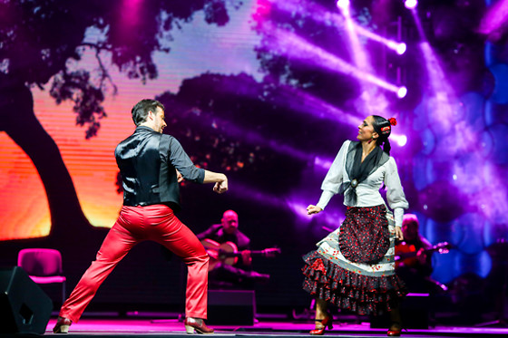 TEATRO FLAMENCO MADRID - photo 7