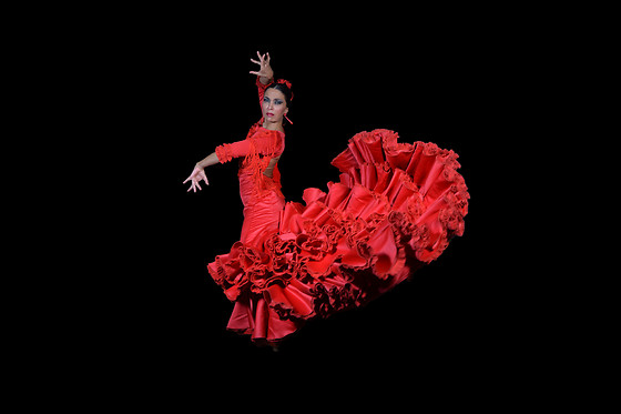 TEATRO FLAMENCO MADRID - photo 8