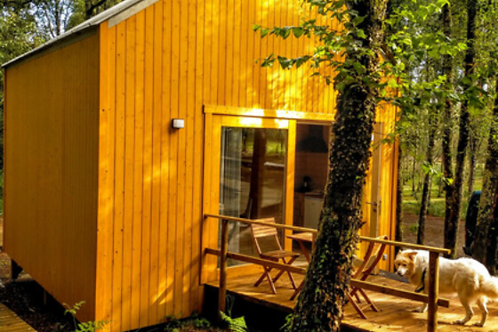 CABANAS DA ULLA - photo 5