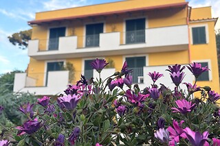 Soggiorno di una notte con colazione al B&B La Vigna ad Ischia