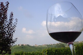 Visita alla cantina con degustazione di vini e prodotti locali presso B&B Rumanot in provincia di Cuneo