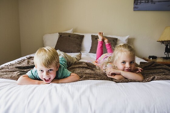 Online Booking EPS - photo 0