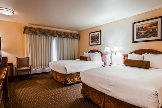 Online Booking EPS - photo 2