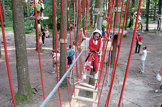 Attività sportiva per 10 presso Adventure Land Borno in provincia di Brescia
