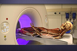 Musée de la Médecine Bruxelles