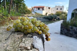 B&B La Vigna