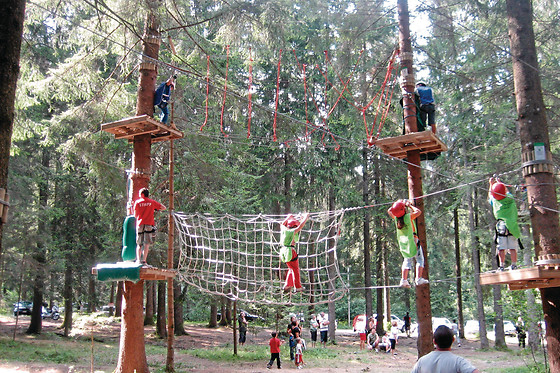 Attività sportiva per 10 presso Adventure Land Borno in provincia di Brescia