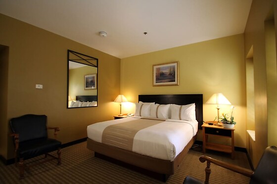 Online Booking EPS - photo 1