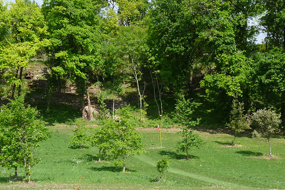 Le Cep enchanté - photo 4
