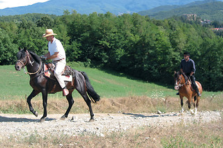 Soggiorno in famiglia presso l'Agriturismo Carovane in provincia di Parma