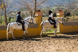 FINCA PARAÍSO