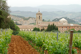 BODEGAS PAGO DE LARRAINZAR