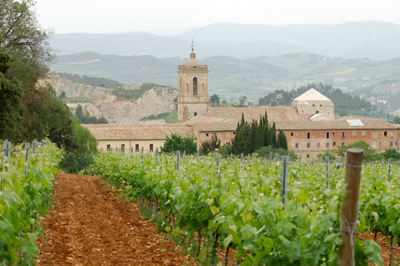 BODEGAS PAGO DE LARRAINZAR - photo 9