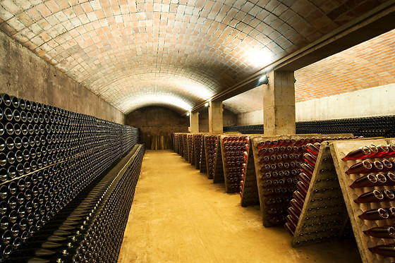 CELLER VELL - CAVATREN H0 - photo 2