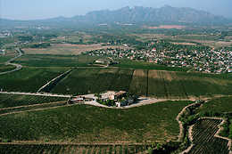 CAVES RAVENTÓS ROSELL