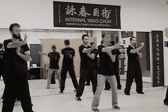 Internal Wing Chun - photo 4