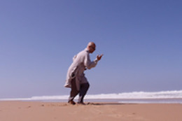 Internal Wing Chun