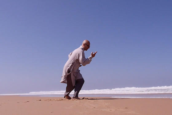 Internal Wing Chun - photo 0