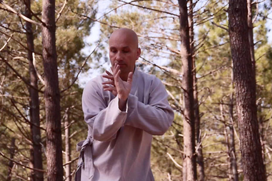 Internal Wing Chun - photo 1