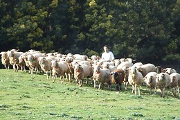 Vumba Agroturismo