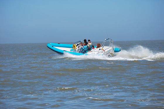 Wavefun - photo 1
