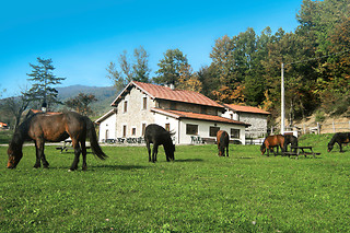 Uscita a Cavallo per 2 persone presso l'Agriturismo Carovane in provincia di Parma