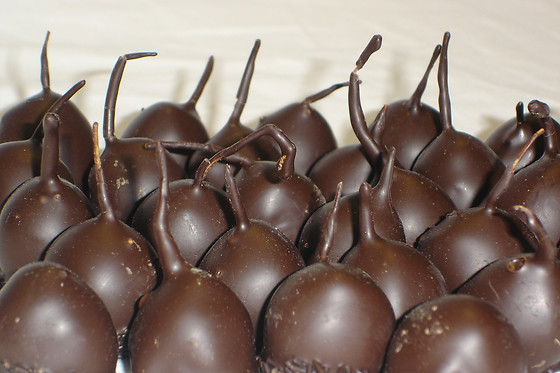 Les gourmandises d'Aliénor - photo 4
